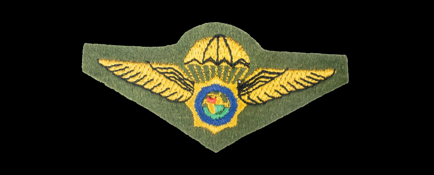 South African Police Police Special Task Force Parachute Wings
