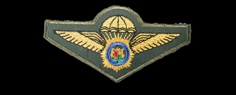 South African Police Police Special Task Force Parachute Wings