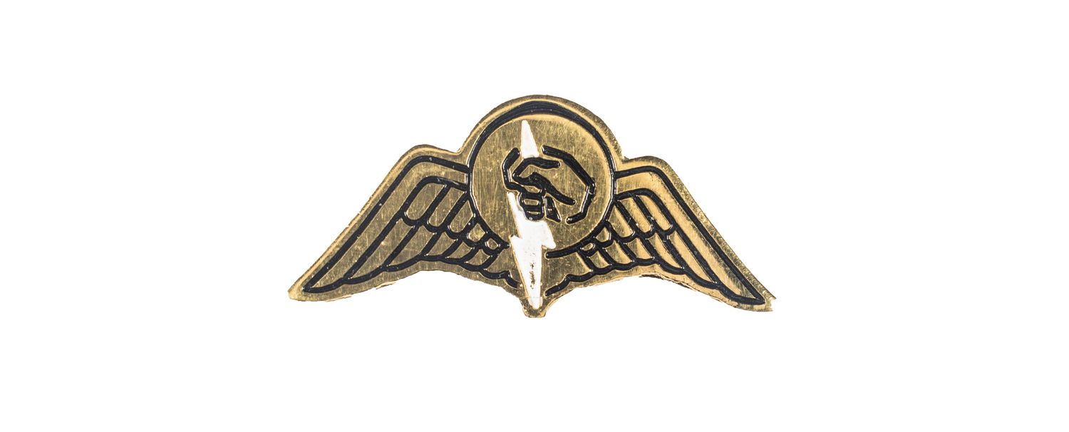 South African Railways Police Task Force Mess Dress Paratrooper Wings