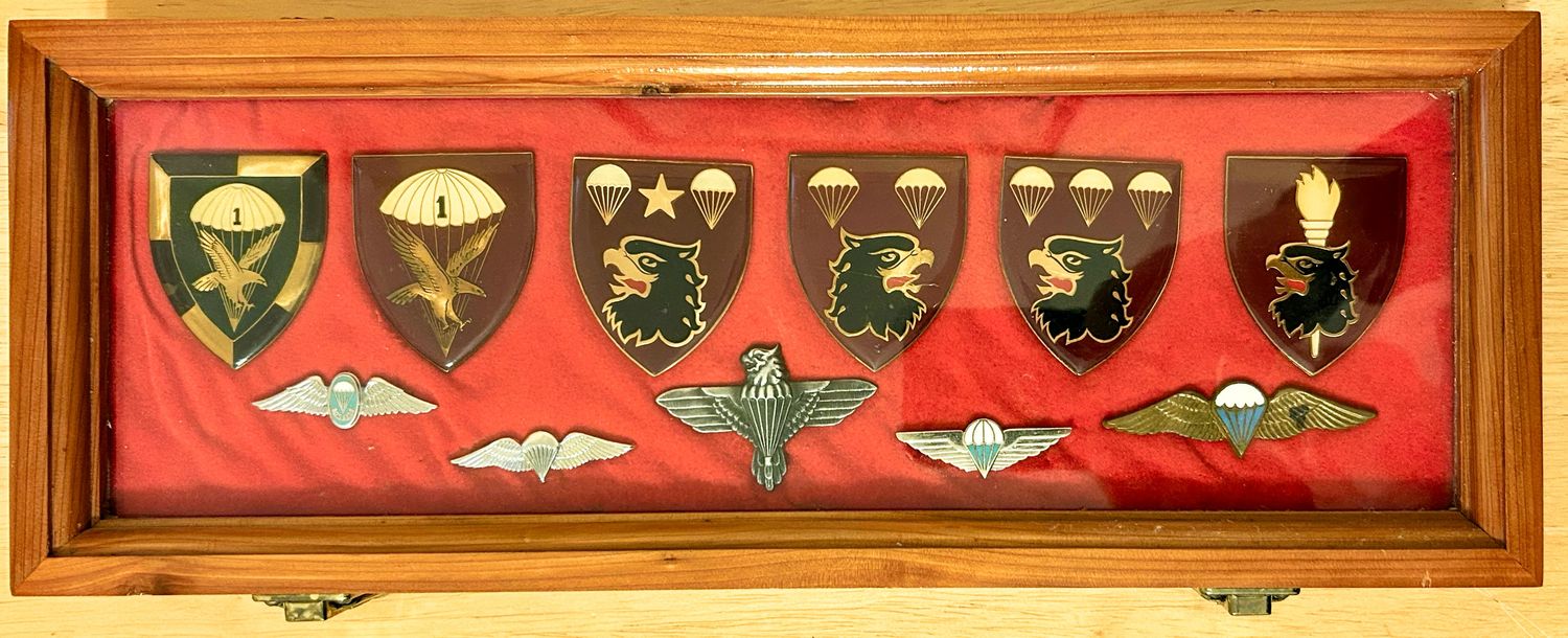 DISPLAY OF 11  SOUTH AFRICAN PARACHUTE BRIGADE BADGES