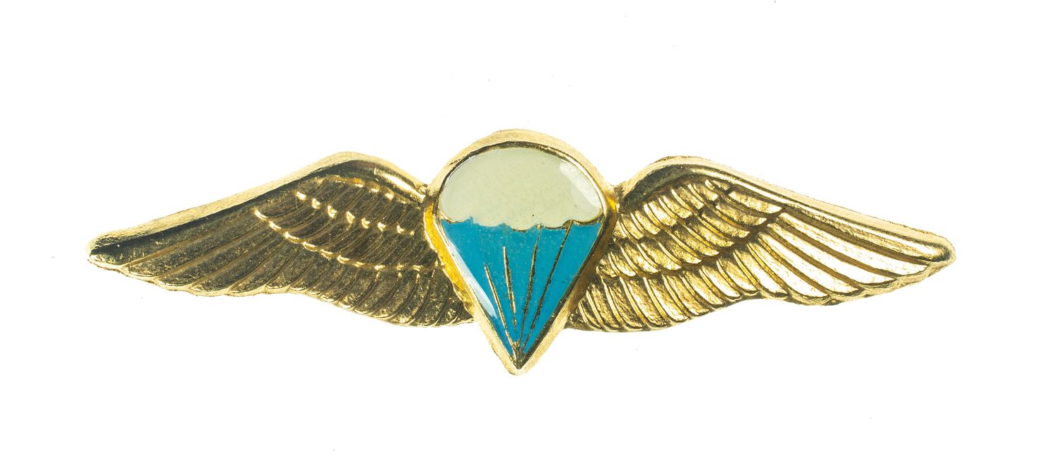 South African Paratroopr Wings