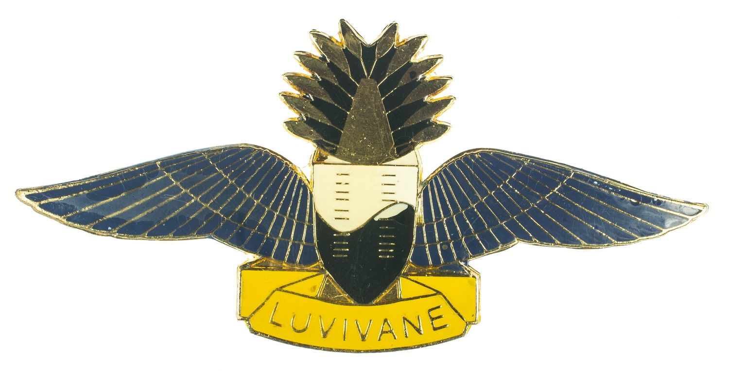 Swaziland Paratrooper Wings