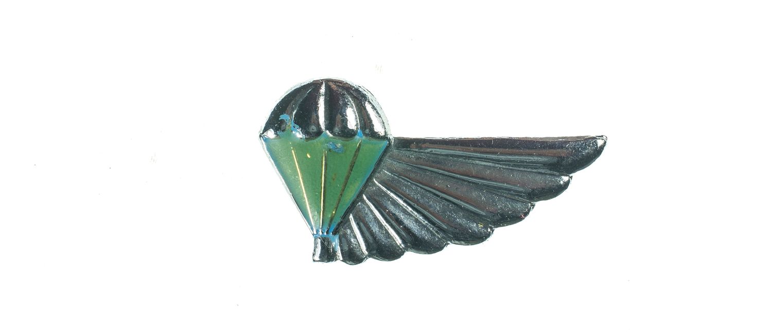 South African Air Supply Instructor Wings