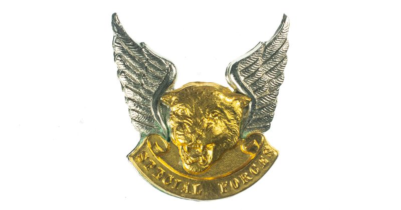 Transkei Special Forces