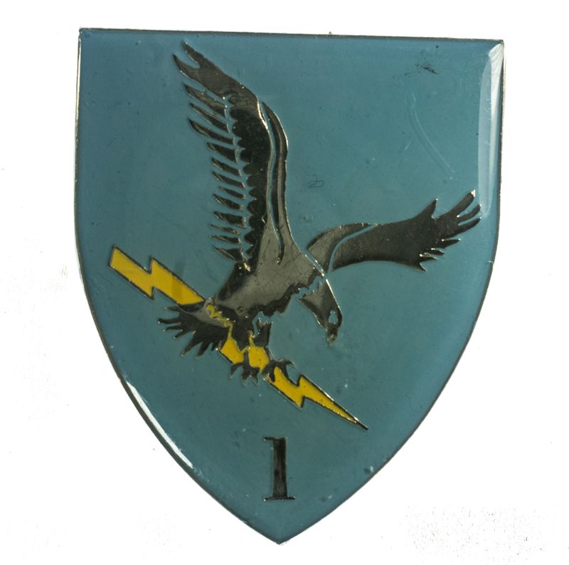 Ciskei  Forces Badge