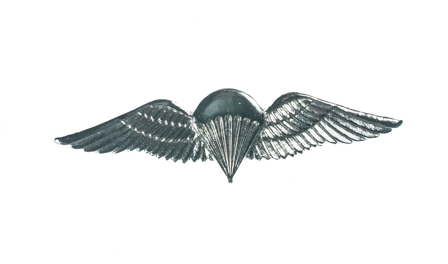 South African Paratrooper Wings