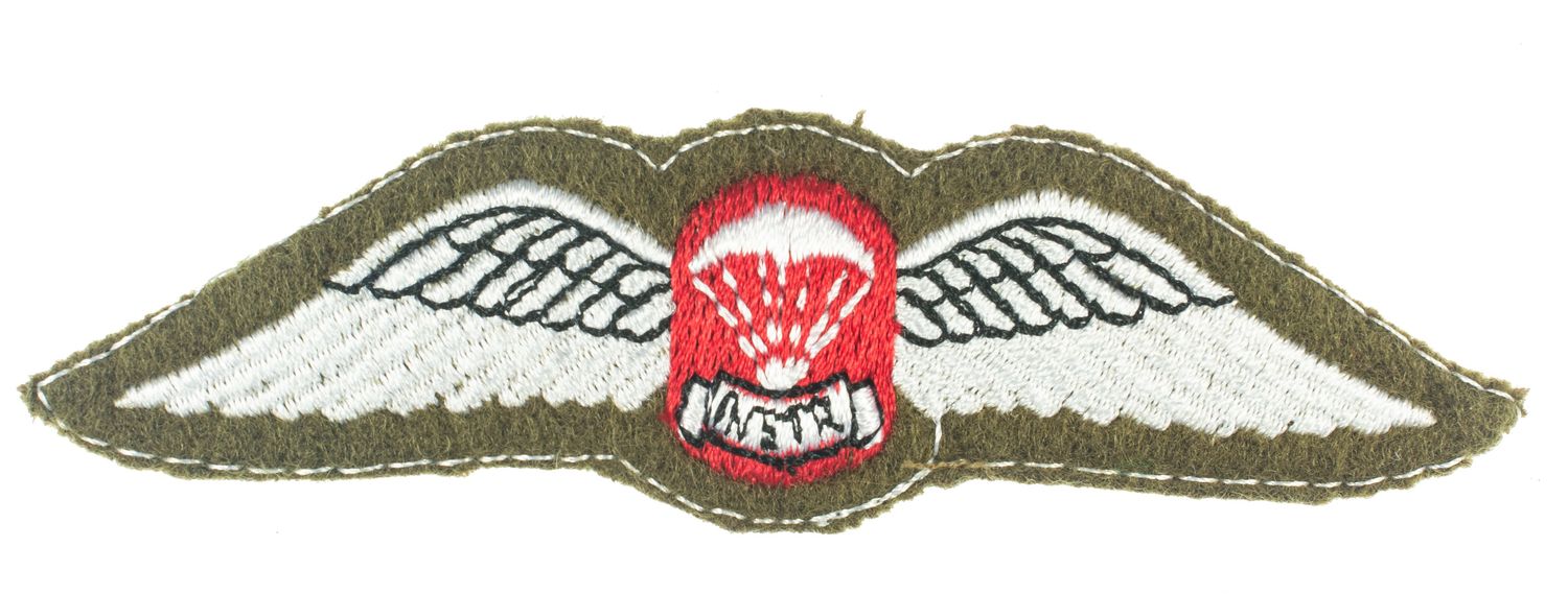 South African Free Fall Instructor Wings