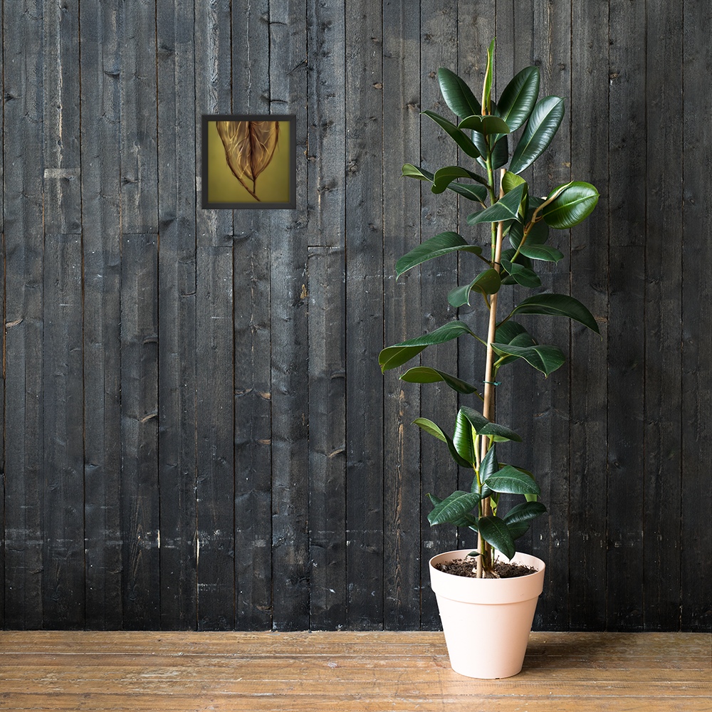 Framed Wall Art - Revealed Secrets