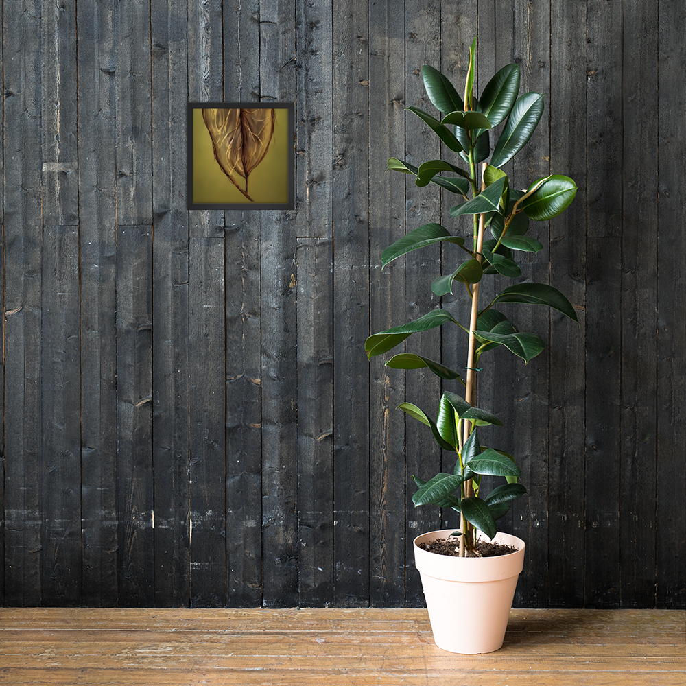 Framed Wall Art - Revealed Secrets