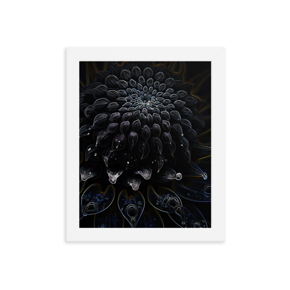 Framed Wall Art - Botanical Floral - Black Dahlia Drama