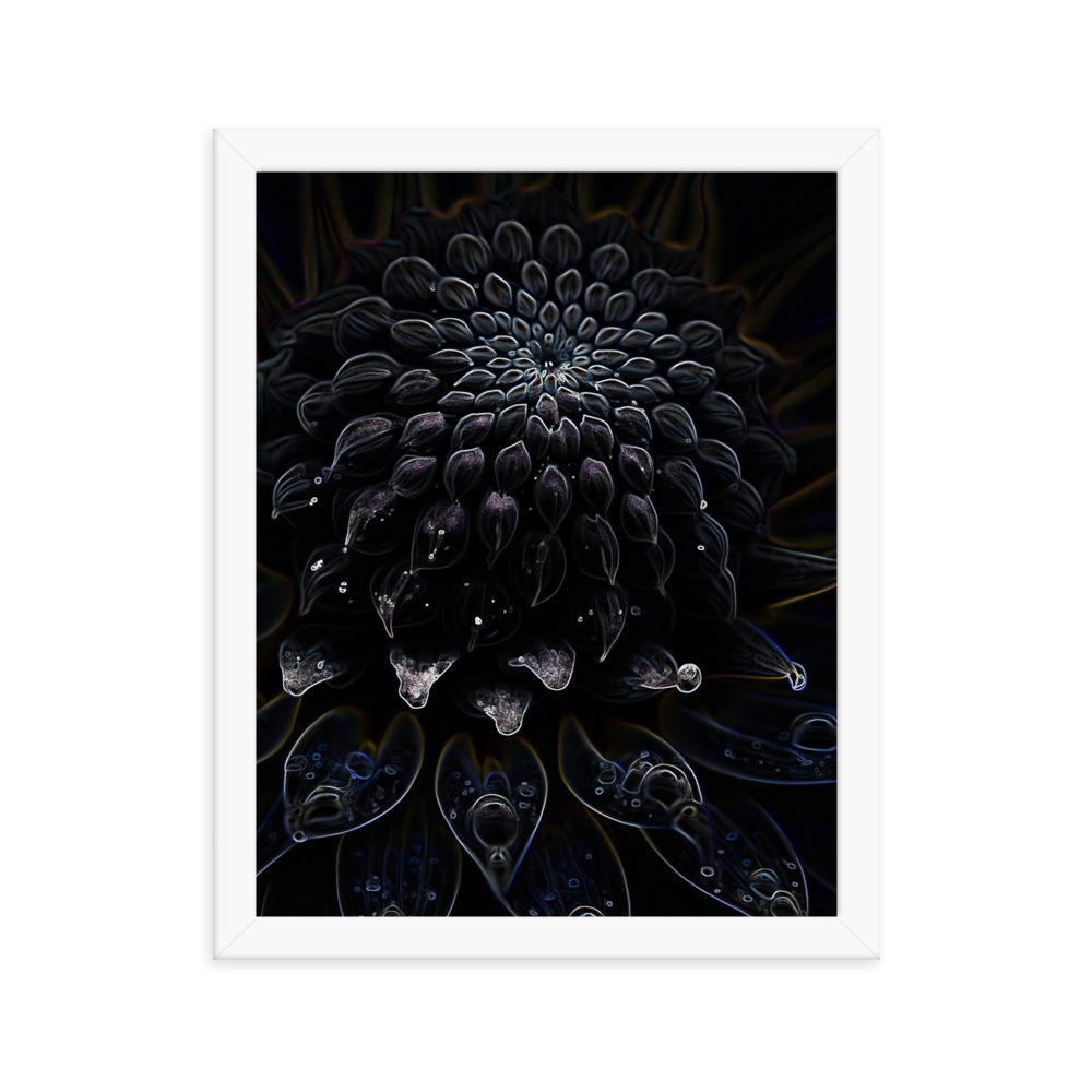 Framed Wall Art - Botanical Floral - Black Dahlia Drama