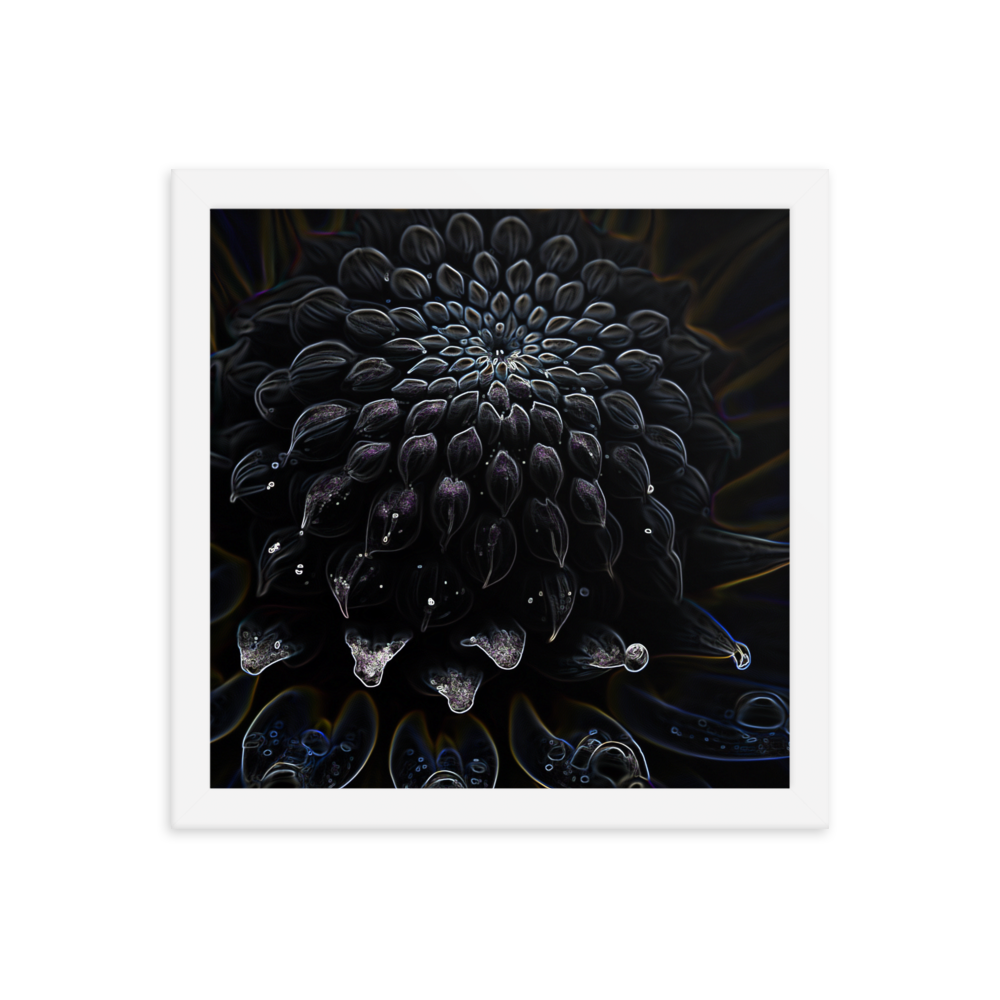 Framed Wall Art - Botanical Floral - Black Dahlia Drama