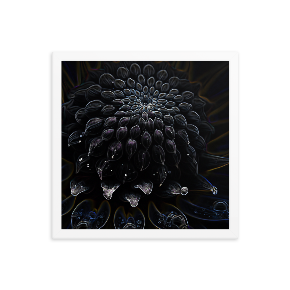 Framed Wall Art - Botanical Floral - Black Dahlia Drama