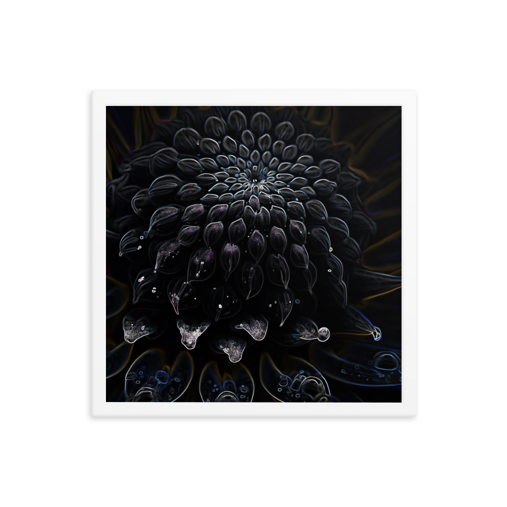Framed Wall Art - Botanical Floral - Black Dahlia Drama