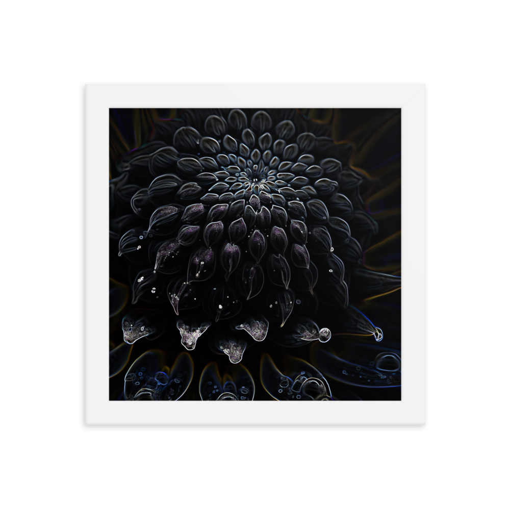 Framed Wall Art - Botanical Floral - Black Dahlia Drama