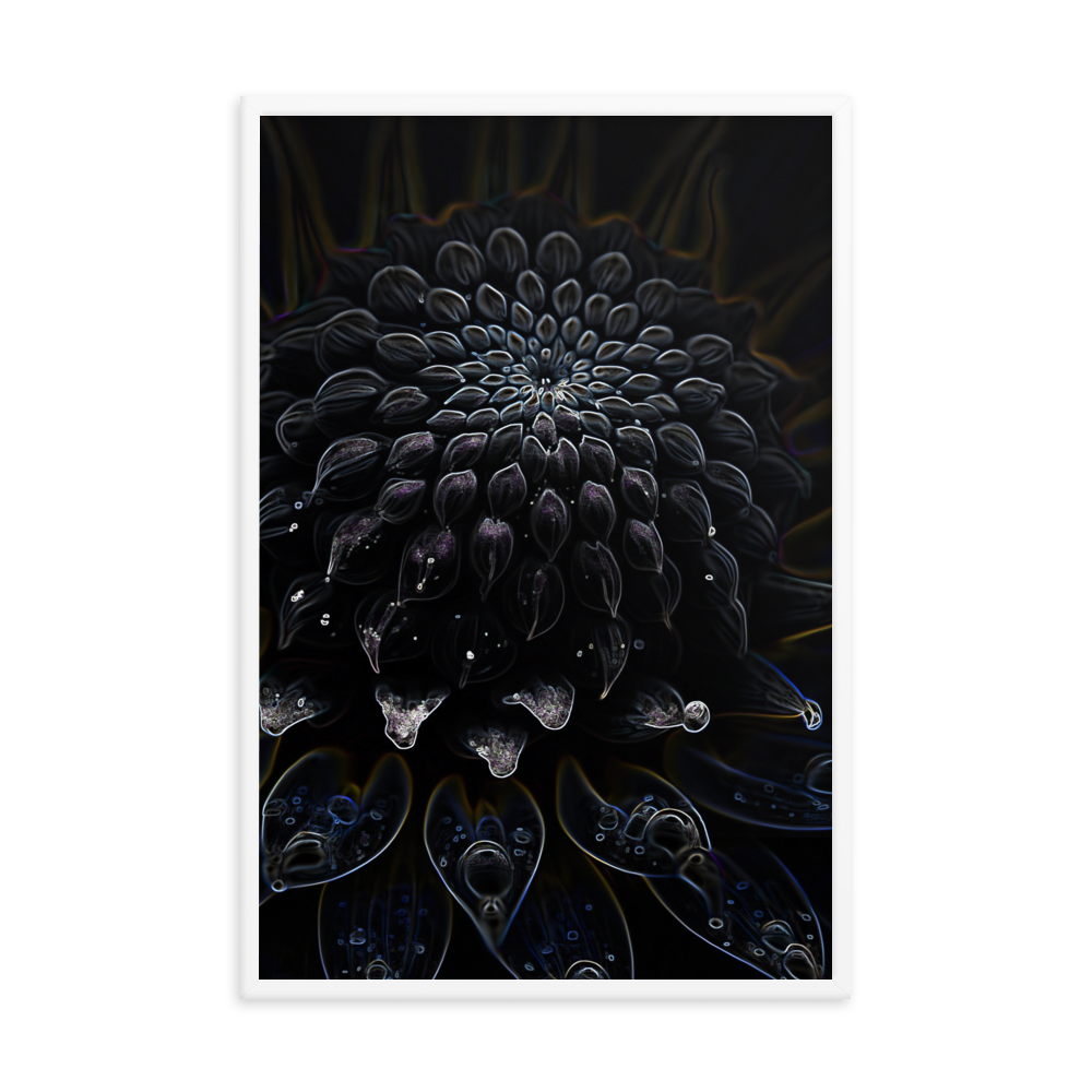 Framed Wall Art - Botanical Floral - Black Dahlia Drama
