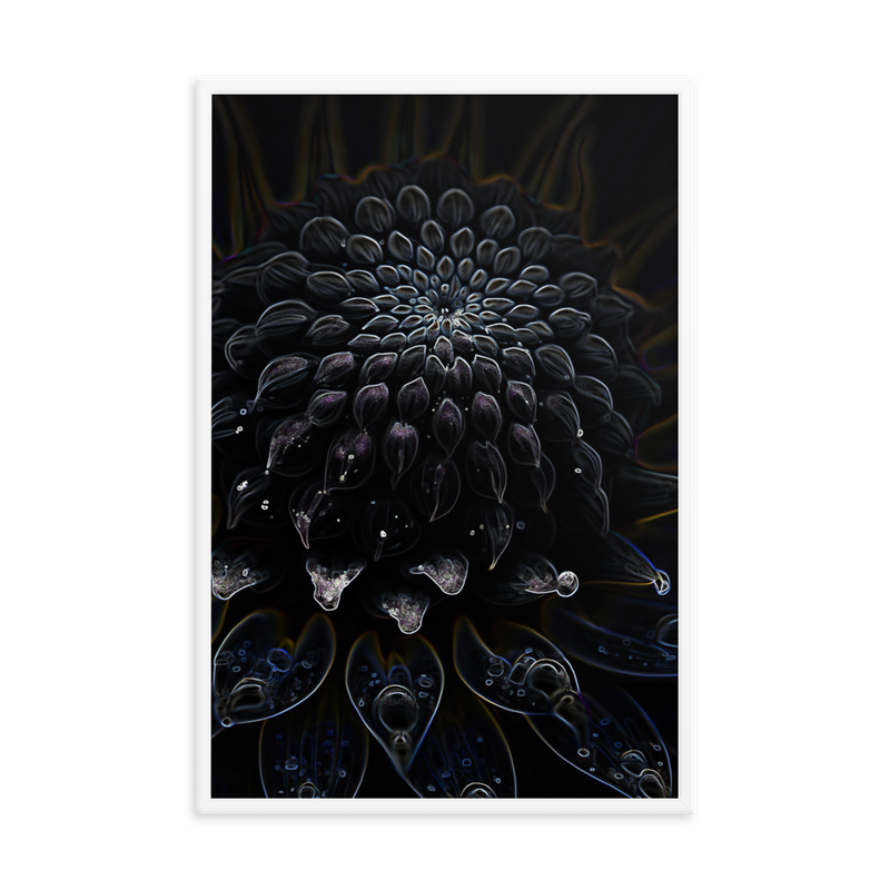 Framed Wall Art - Botanical Floral - Black Dahlia Drama