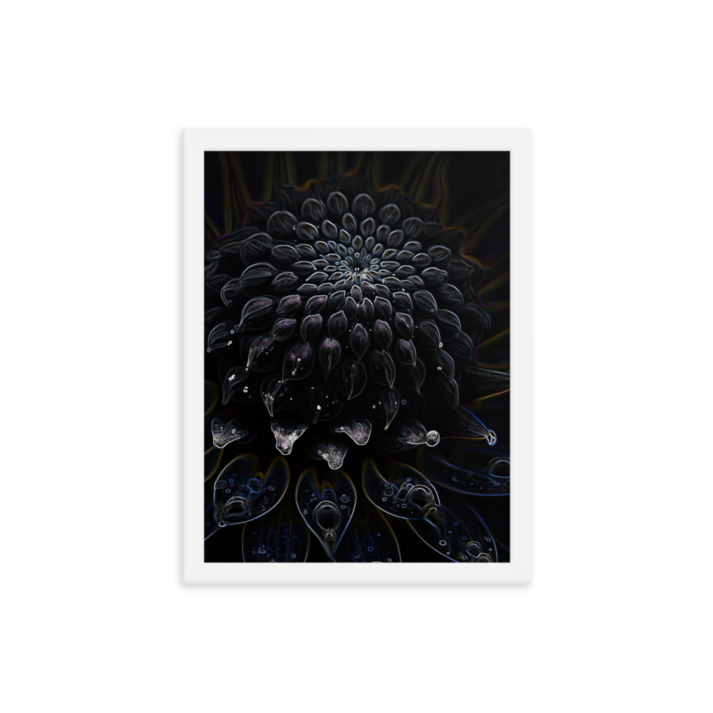 Framed Wall Art - Botanical Floral - Black Dahlia Drama