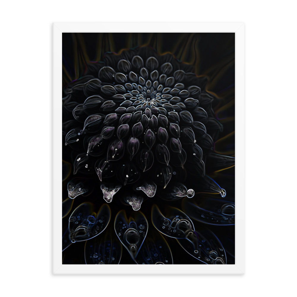 Framed Wall Art - Botanical Floral - Black Dahlia Drama