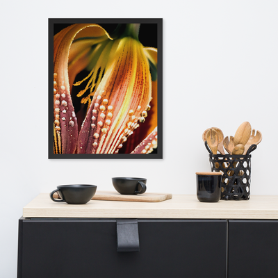 Framed Wall Art - Lily Meleagris