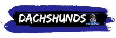 Dachshunds