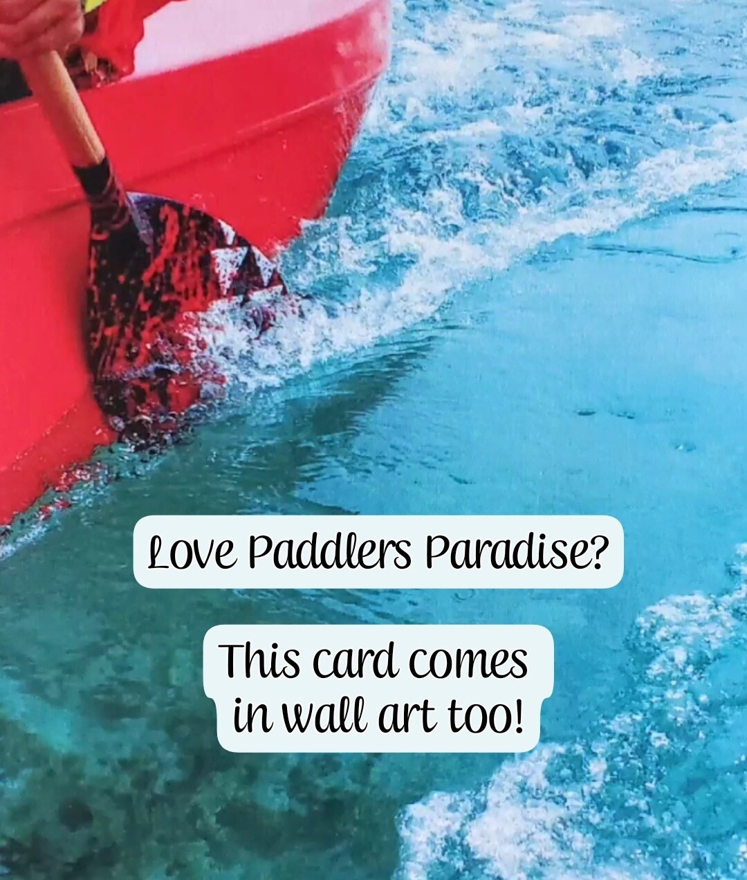 Paddler's Paradise - 4 Pack