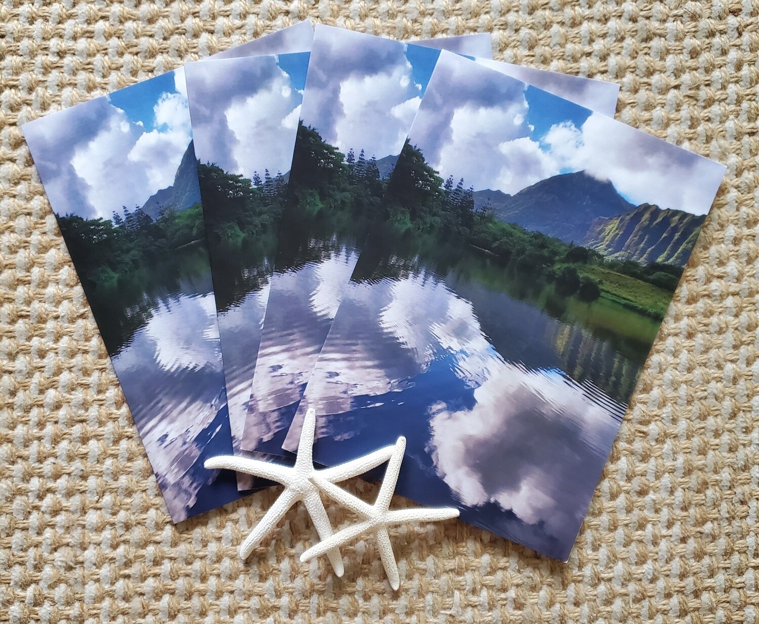 Reflecting Ko'olaus - 4 Pack