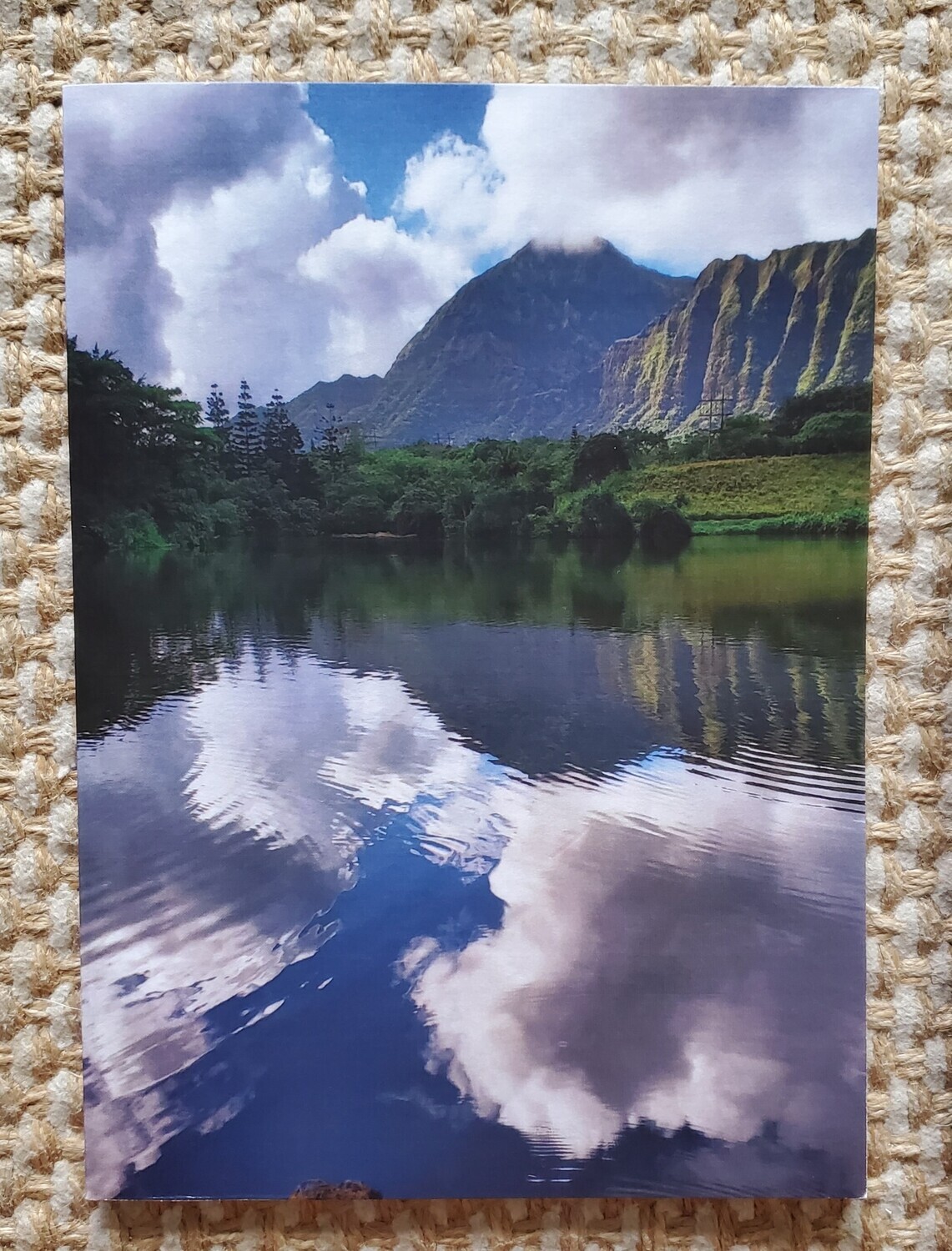 Reflecting Ko&#39;olaus - 4 Pack