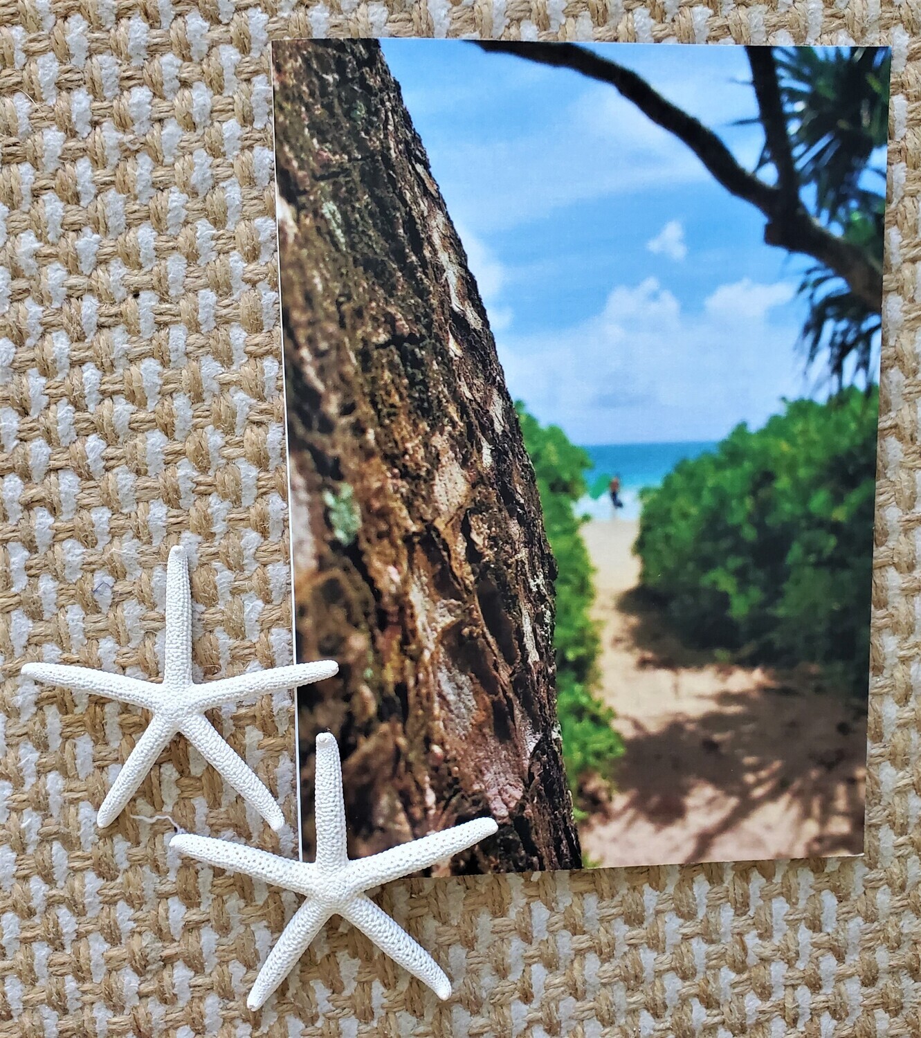 Vitamin Sea - 4 Pack  SOLD OUT