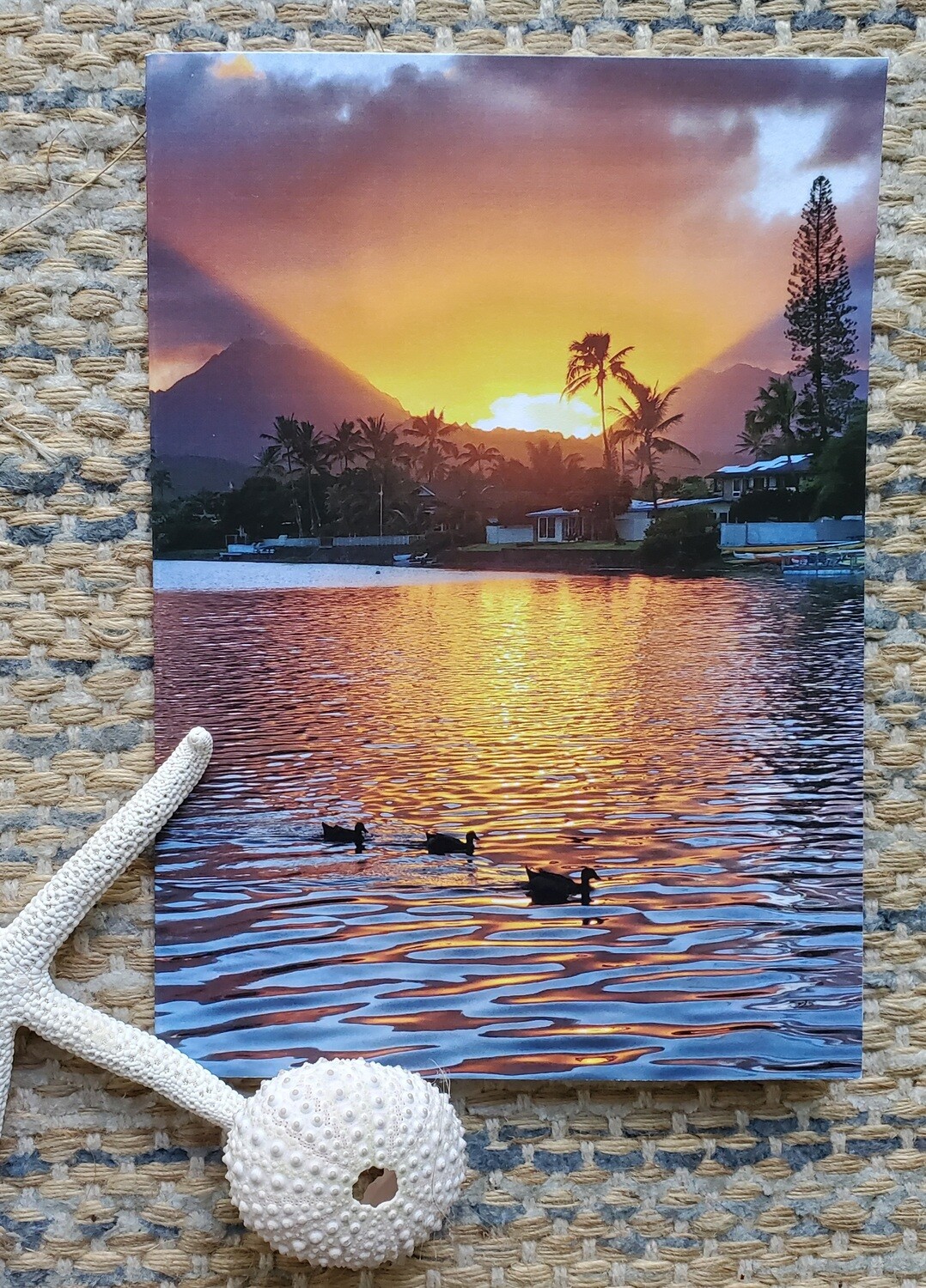 Sunset Swim On Kawainui - 4 Pack SOLD OUT
