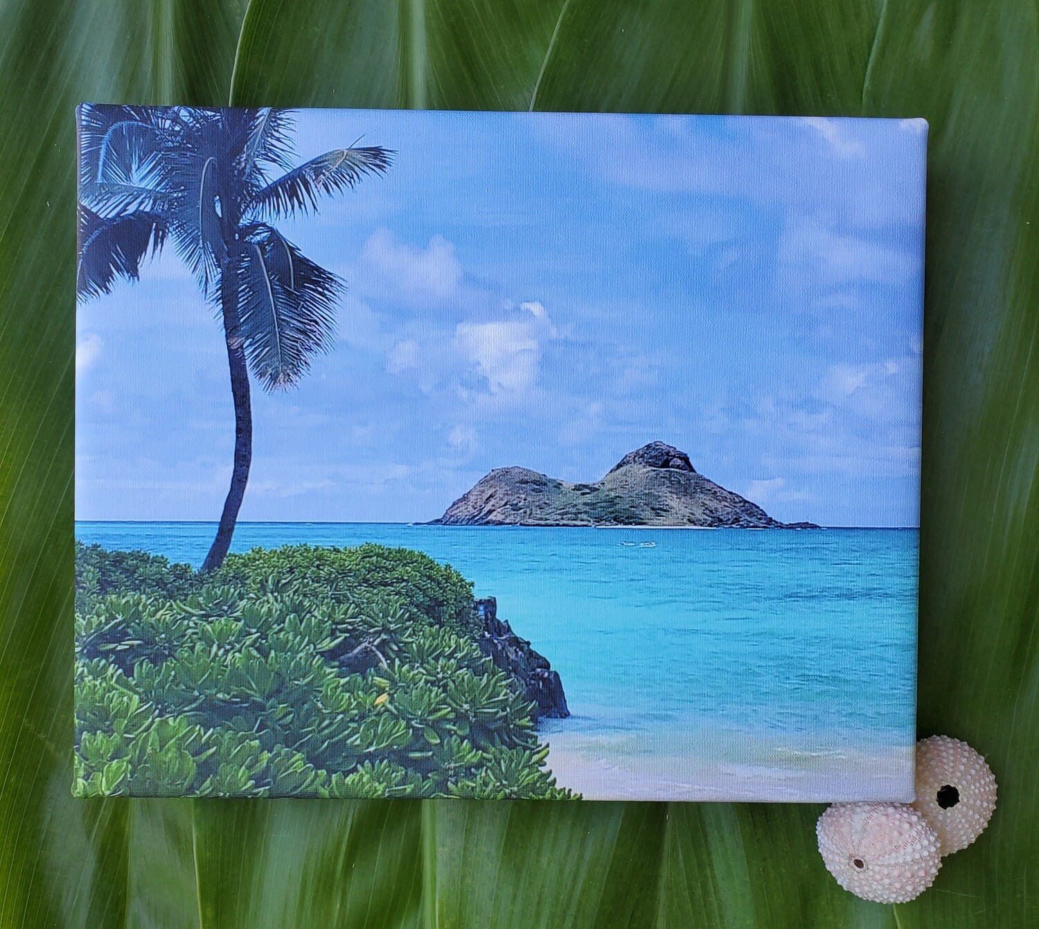 Moku Manu Islet - Canvas Wrap   &#39;&quot;SALE&quot;