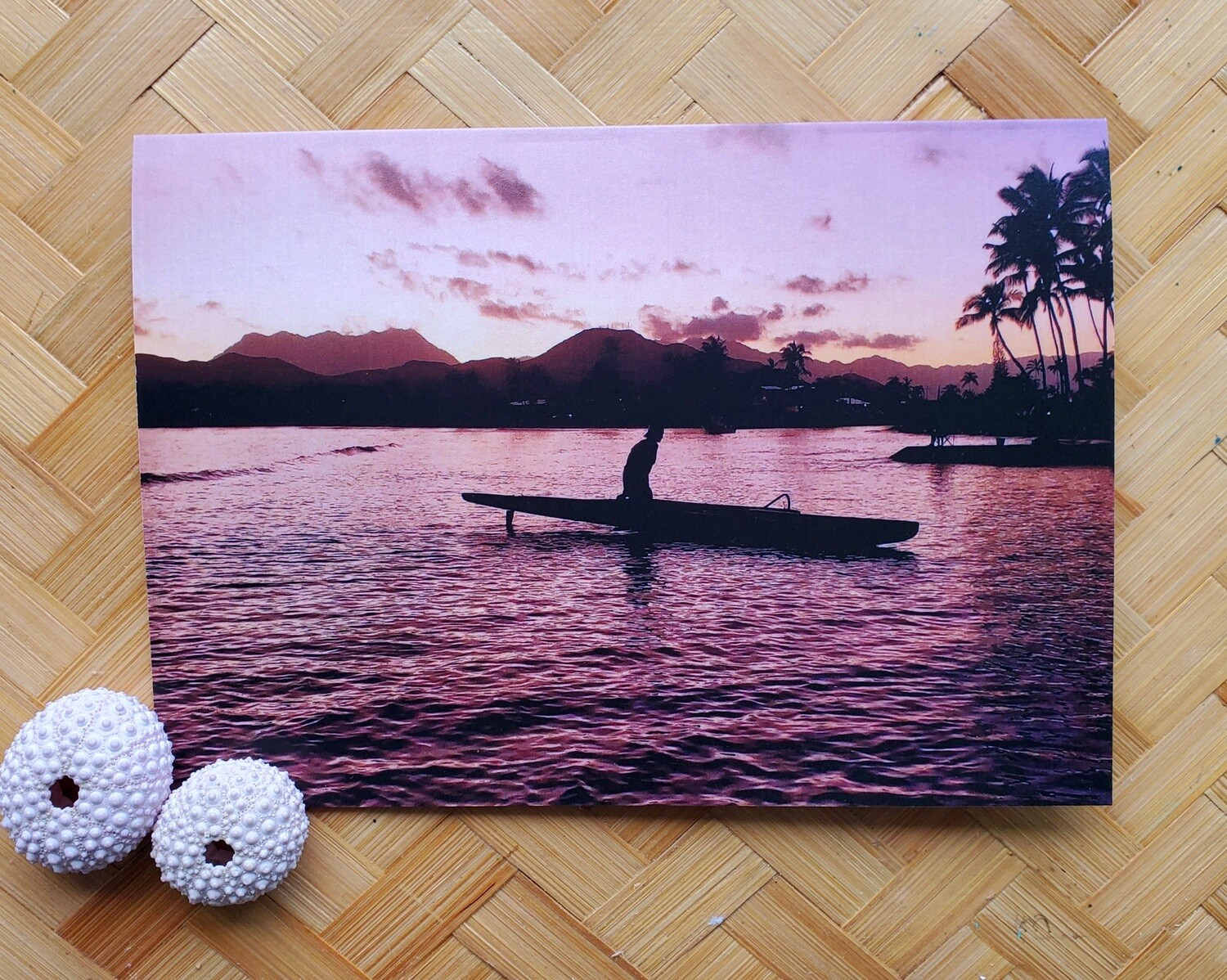 Evening Paddle - 4 Pack