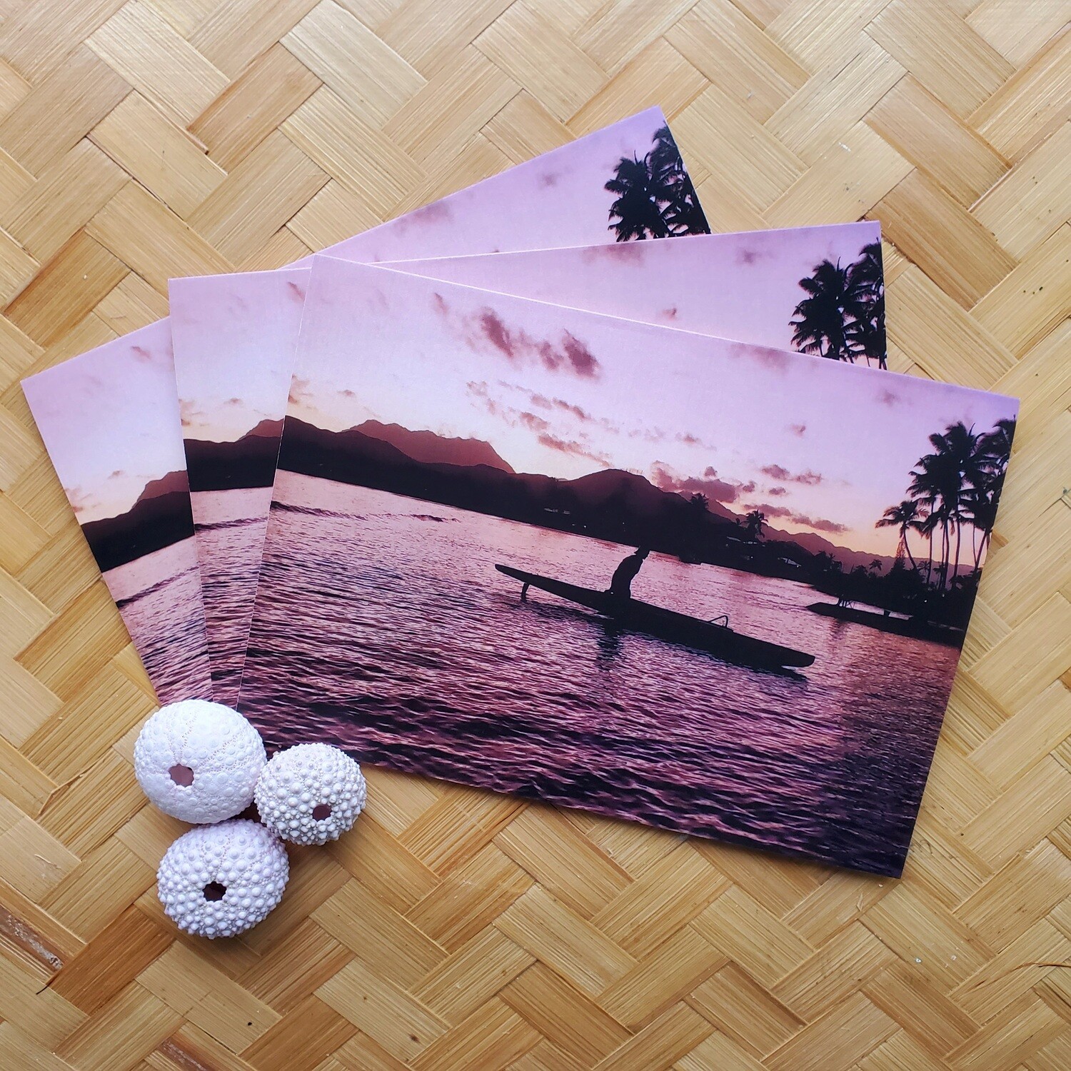 Evening Paddle - 4 Pack