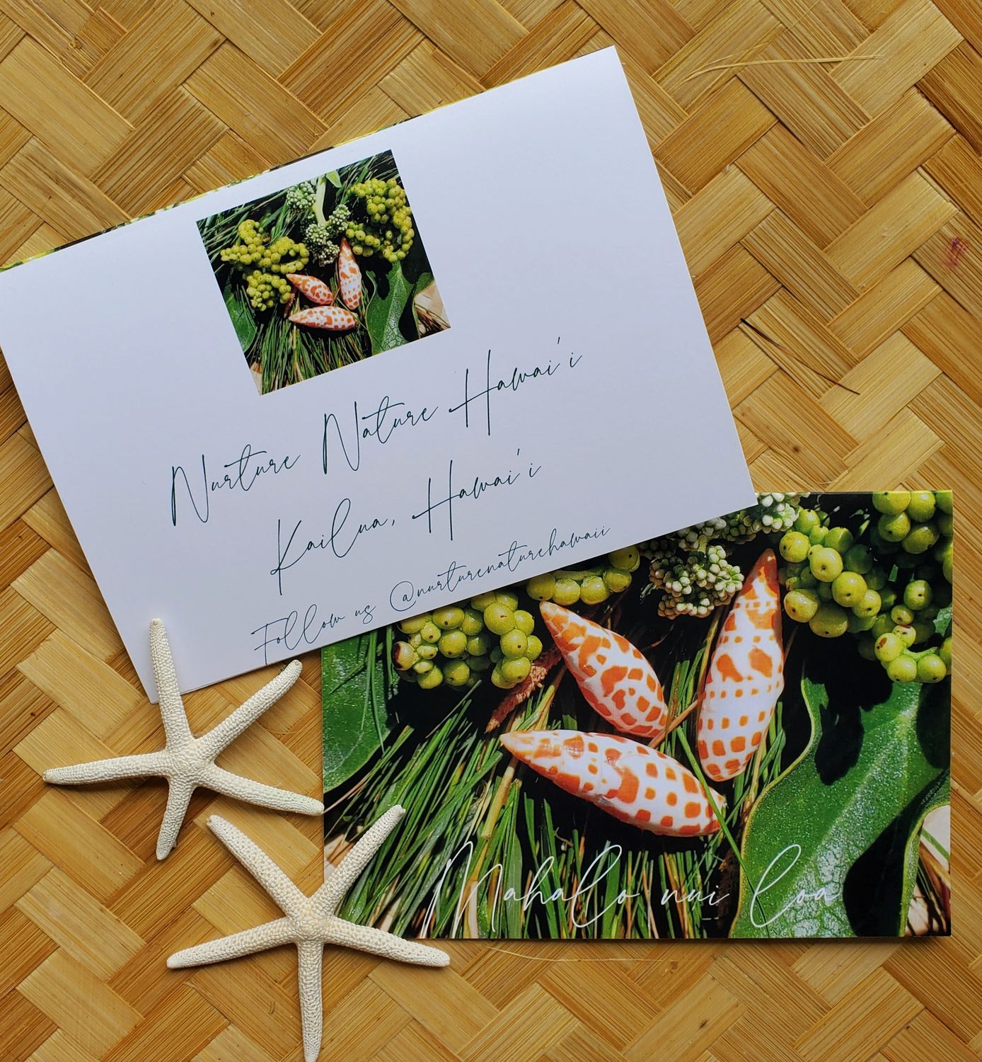 Thank you Cards /Seashells 2  in a 4-Pack