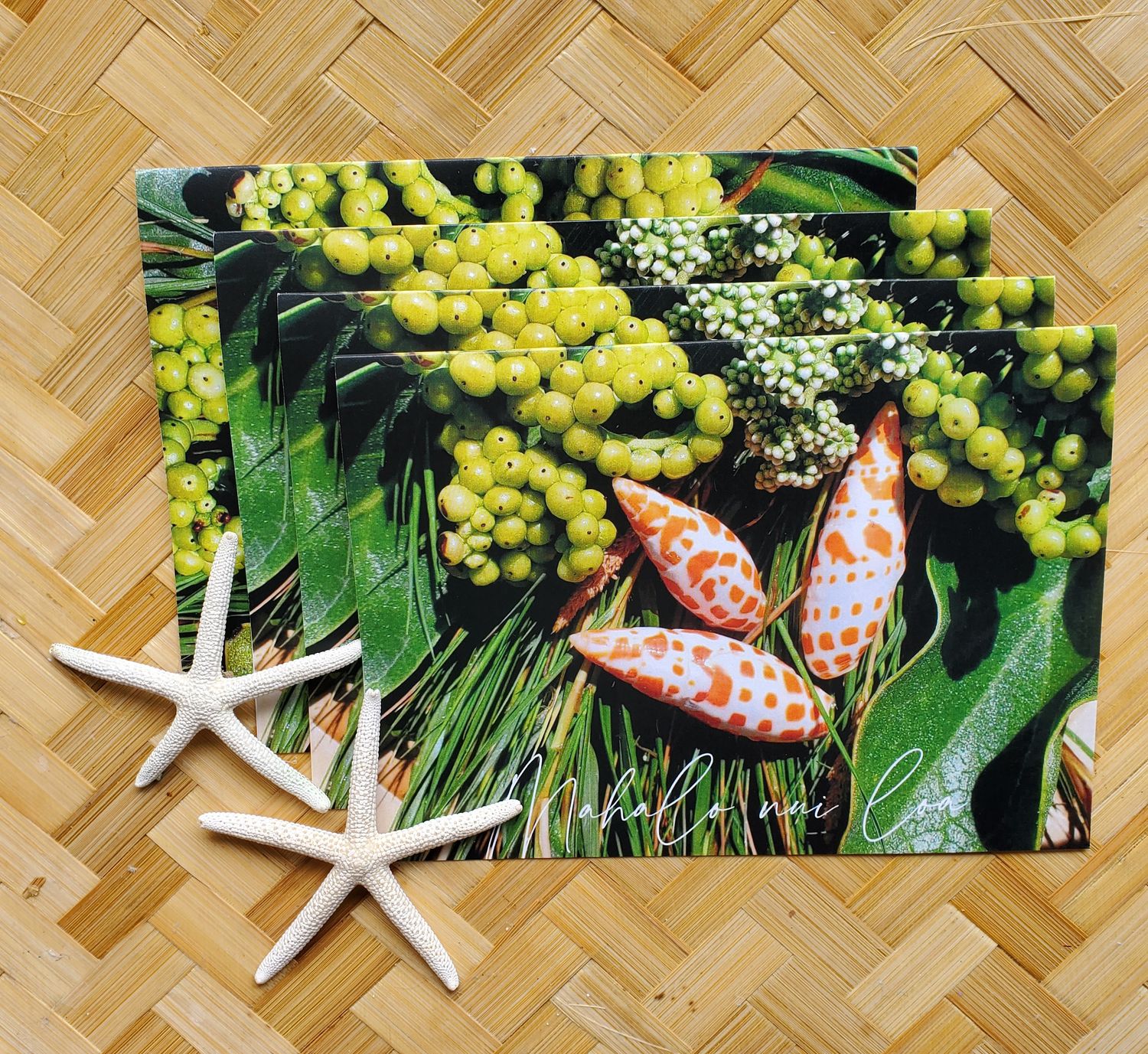 Thank you Cards /Seashells 2  in a 4-Pack