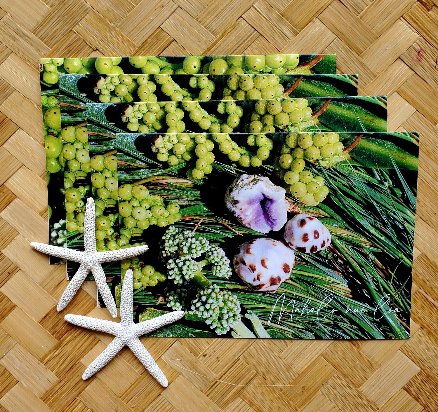 Thank you Cards seashells 1 - 4 Pack