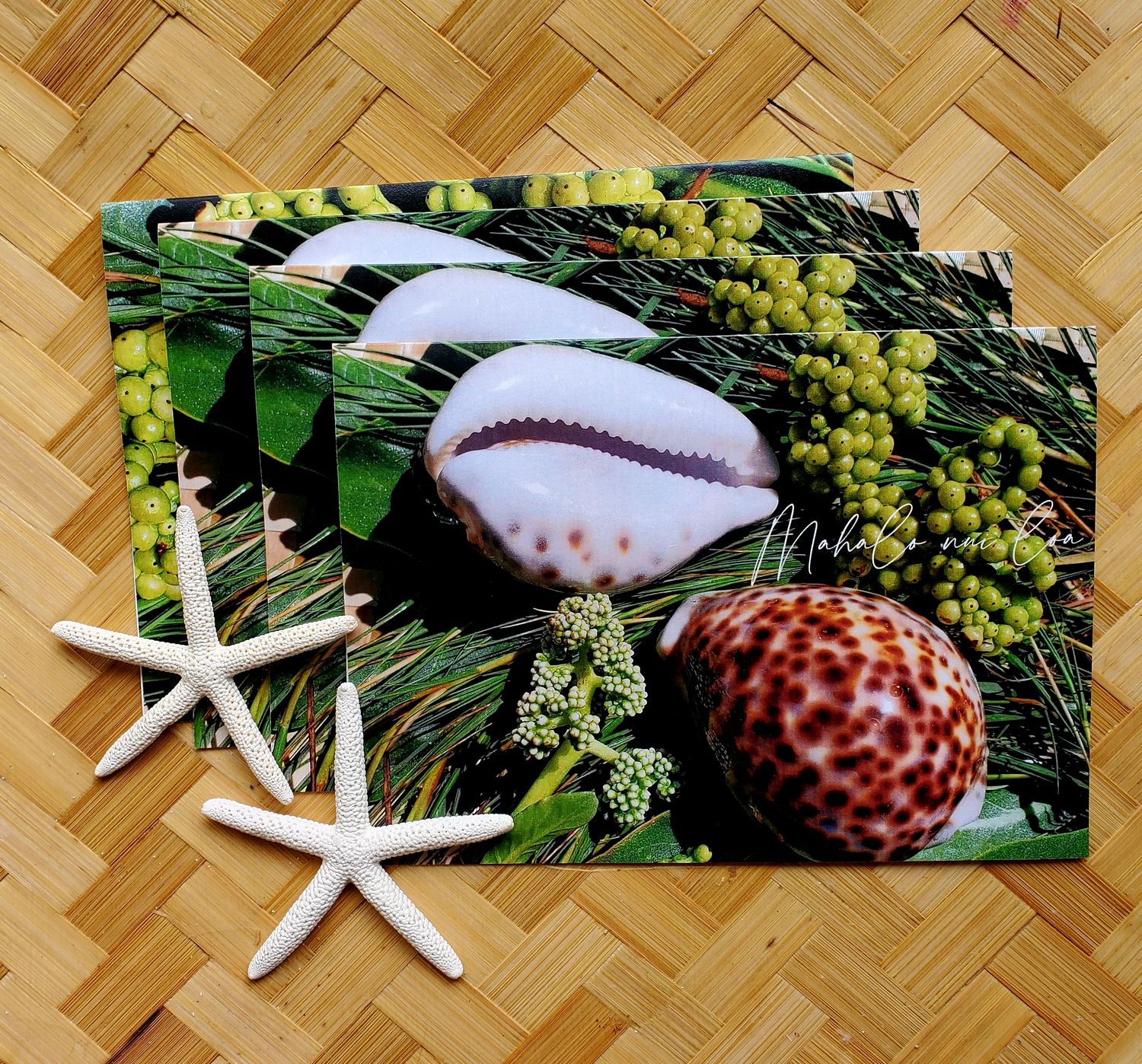 Thank you Cards seashells 4  in a 4-Pack
