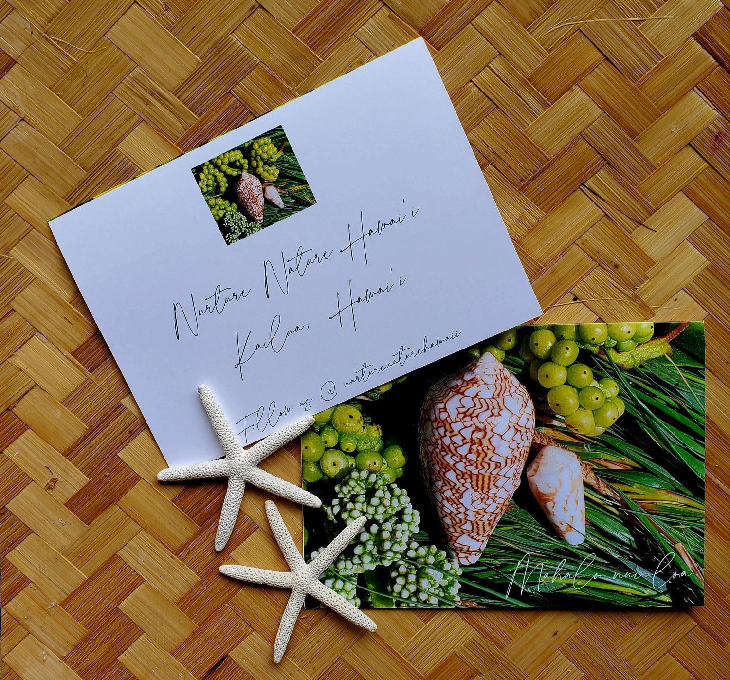Thank you Cards /Seashells 3  in a 4-Pack