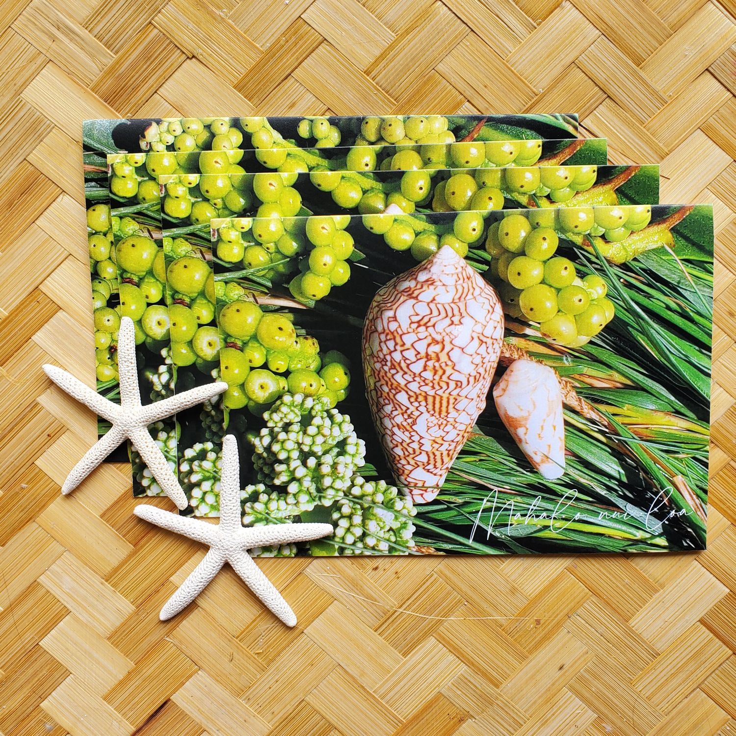 Thank you Cards /Seashells 3  in a 4-Pack