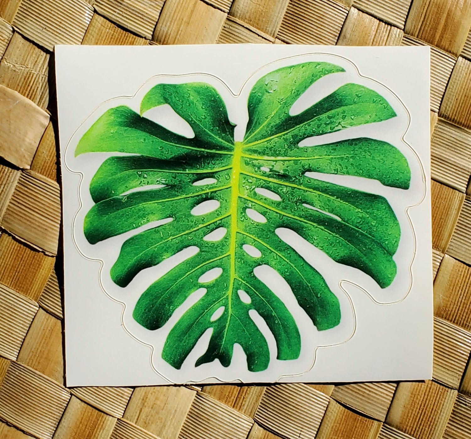 Monstera Sticker