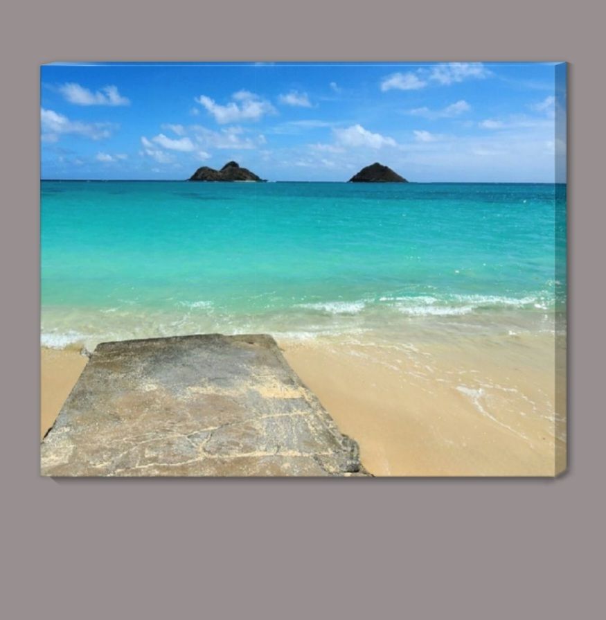 Path to the Sea - Canvas Wrap