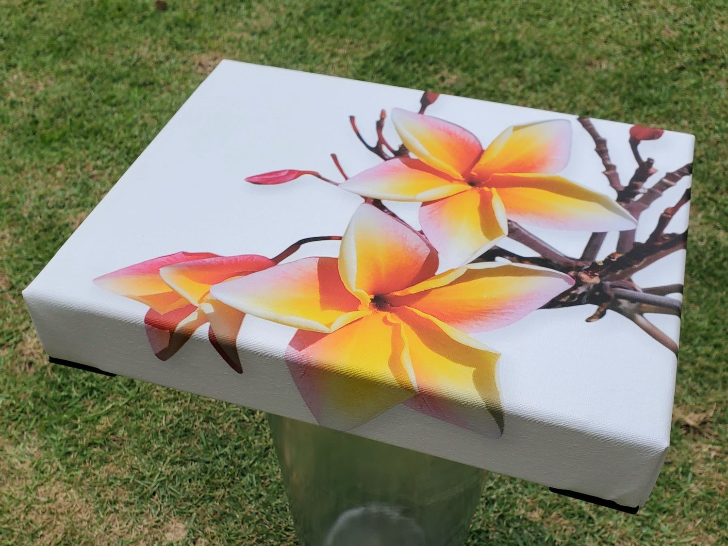 "Scented Plumeria"- Canvas Wrapped