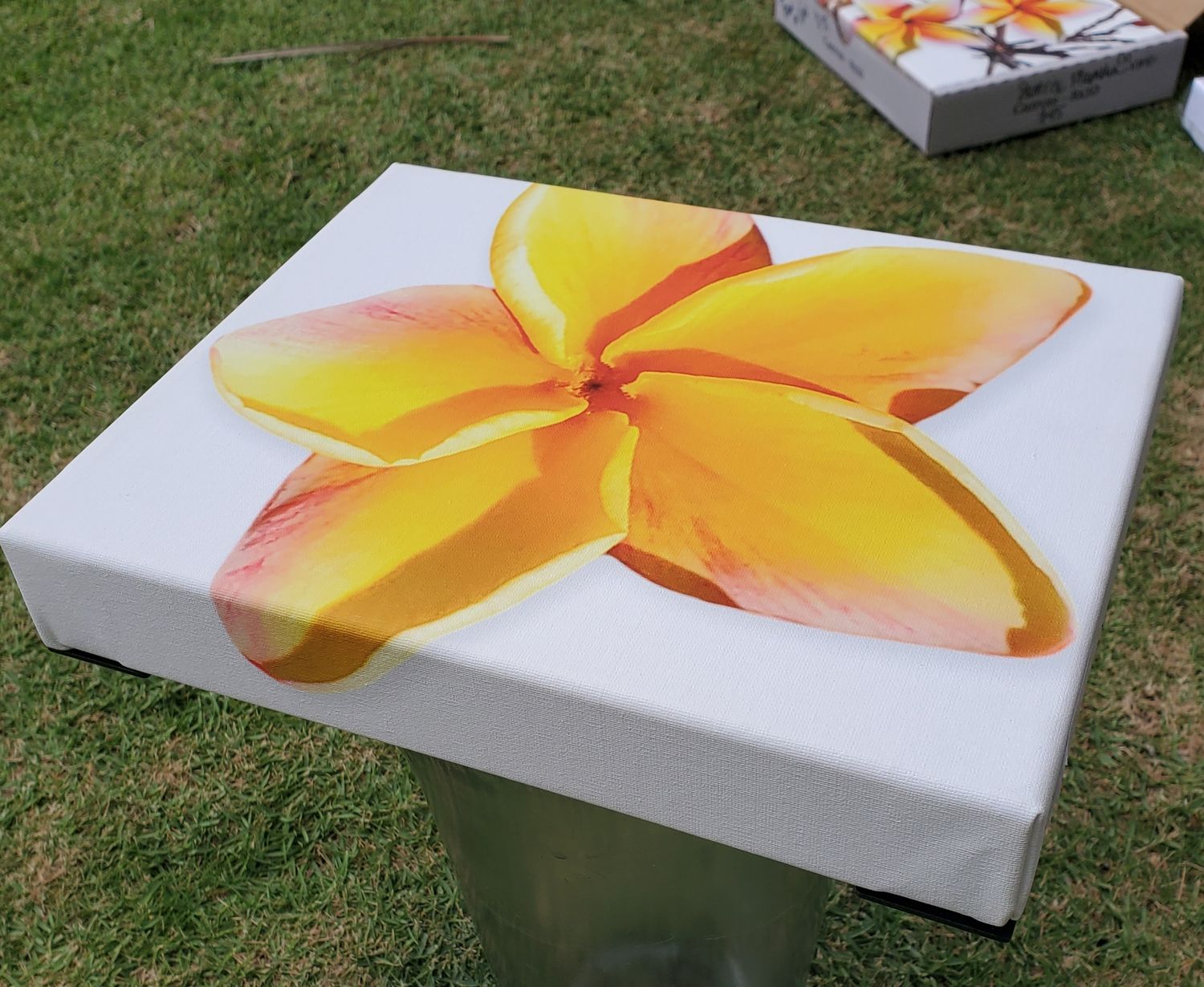 "Scented Plumeria - Canvas Wrapped - ON SALE