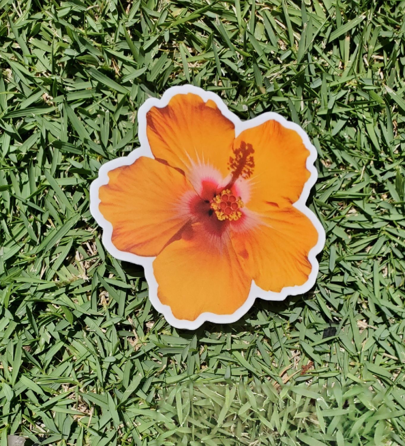 Sunset Hibiscus - Sticker