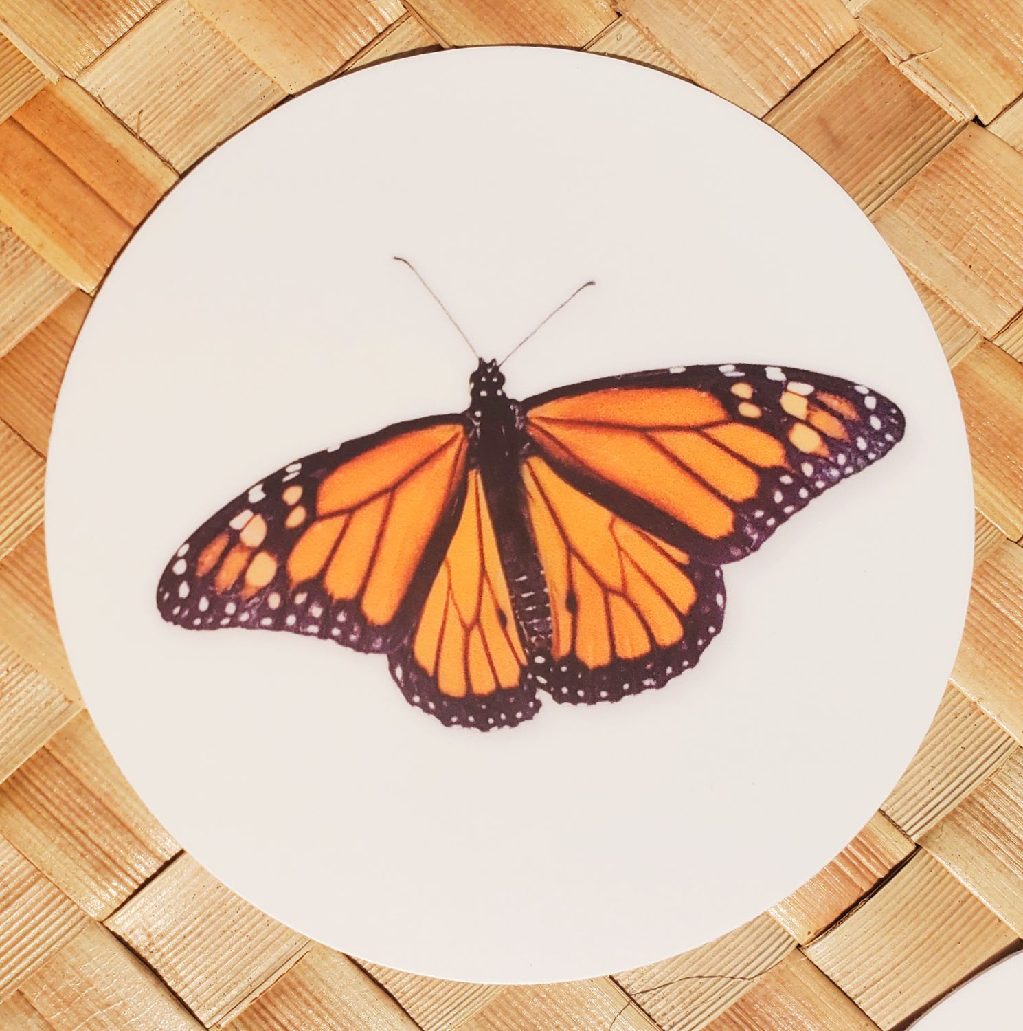Monarch - Sticker