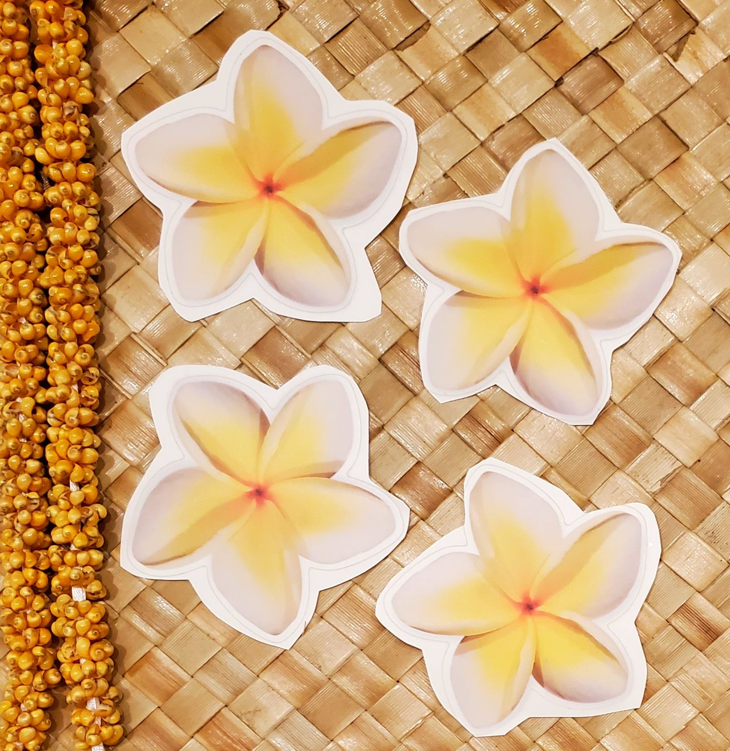 Classic Plumeria - Sticker