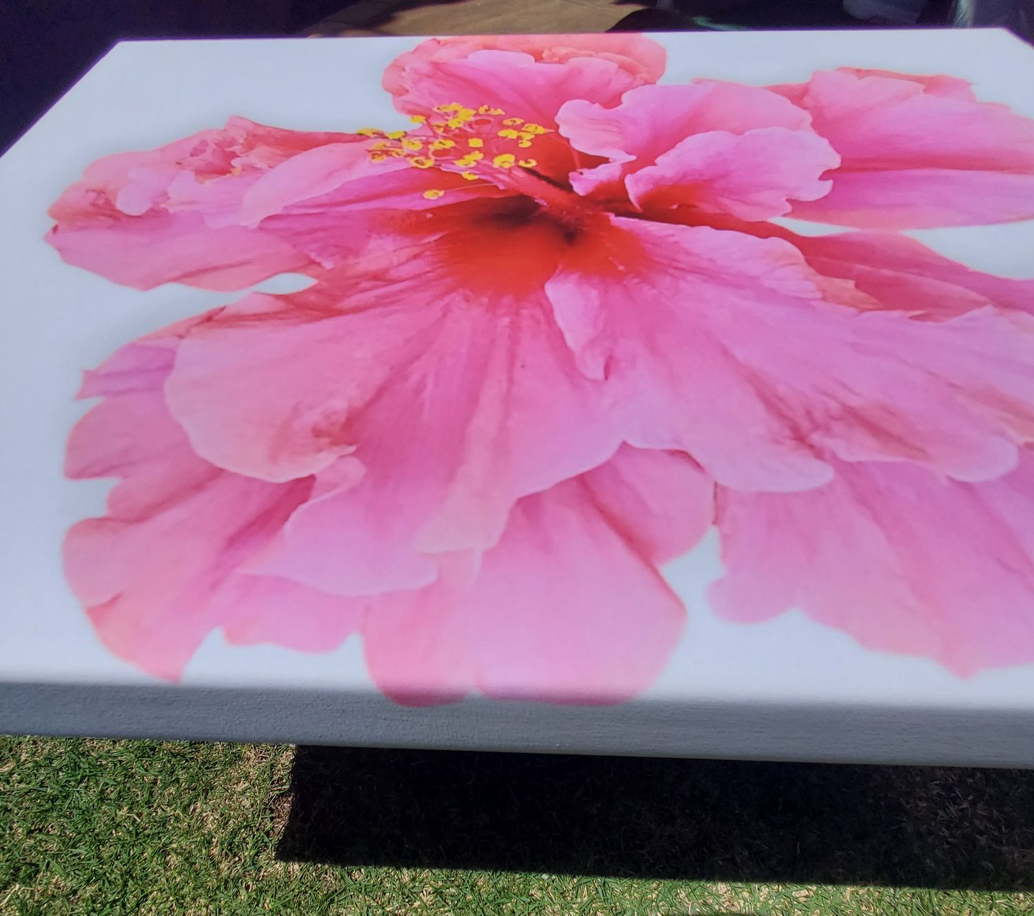 Pink Hibiscus - Canvas Wrap 8x10IN