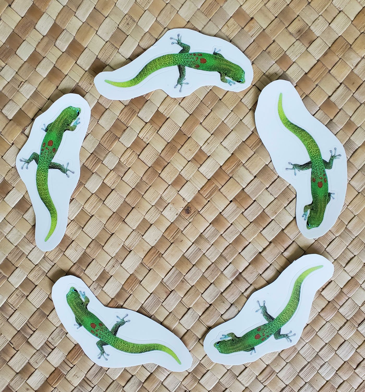 Gecko - Sticker