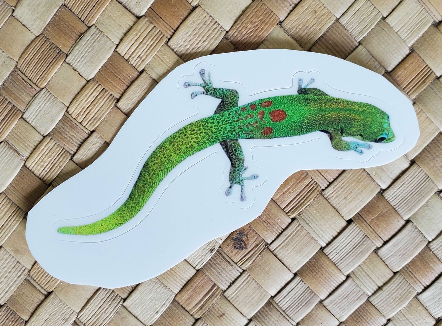 Gecko - Sticker