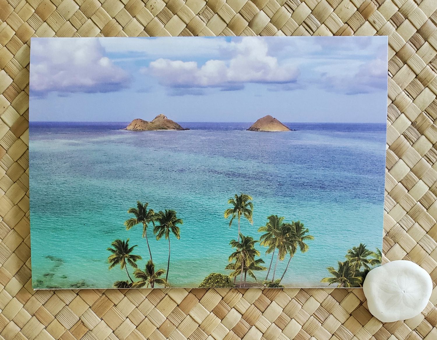 Birds Eye View - Lanikai 4 Pack